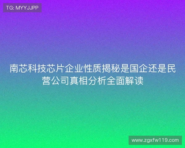 南芯科技芯片企业性质揭秘是国企还是民营公司真相分析全面解读